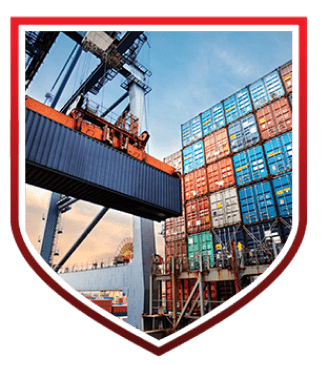 Port container transport
